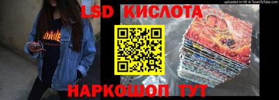 крисы Кулебаки