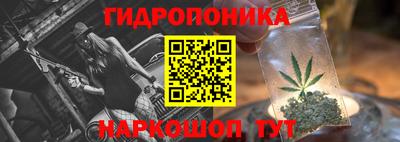 крисы Кулебаки