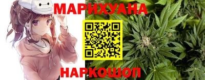 крисы Кулебаки