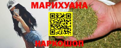 крисы Кулебаки