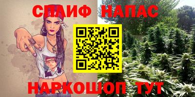 крисы Кулебаки