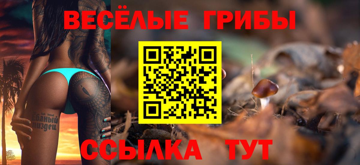 Псилоцибиновые грибы GOLDEN TEACHER  Вход с VPN  Валуйки 