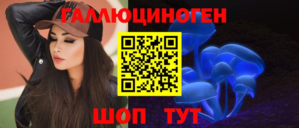 Псилоцибиновые грибы Psilocybine cubensis  Псилоцибиновые грибы Psilocybe  Валуйки 